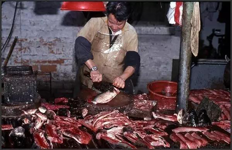 何老板萬(wàn)萬(wàn)沒(méi)想到，自己的餃子云吞店開業(yè)的第一天就門庭若市